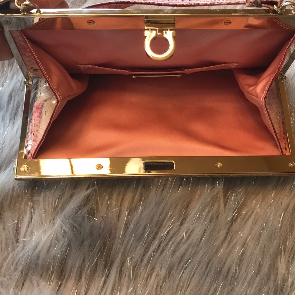 Salvatore Ferragamo Python Skin Frame Clutch - image 4
